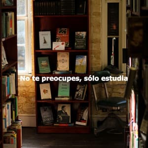 No te preocupes, sólo estudia - Light Morning Music