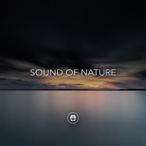 Sound Of Nature - Rain Sounds Sleep