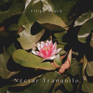 Néctar Tranquilo: Cânticos de Lótus - Filipe South