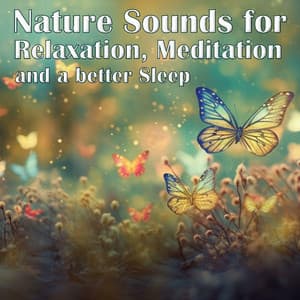 Nature Sounds for Relaxation, Meditation and a better Sleep - The Sleep Specialist