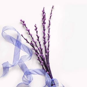 Jazz Organ - Bgm for Mental Health Days - Jazz for Hotel Lobbies