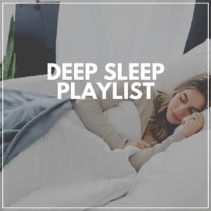Deep Sleep Playlist - Sleep Sounds
