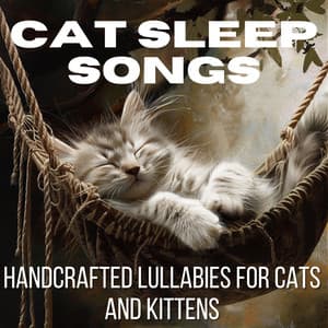 Cat Sleep Songs - Handcrafted Lullabies for Cats and Kittens - Relax My Cat