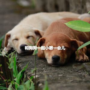 和狗狗一起小憩一会儿 - Relaxing Weekend Jazz