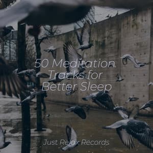 50 Meditation Tracks for Better Sleep - Healing Yoga Meditation Music Consort