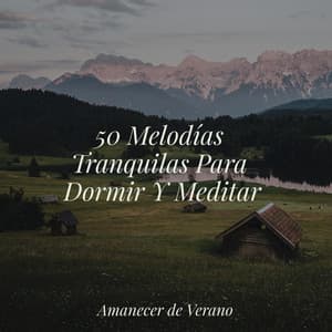 50 Melodías Tranquilas Para Dormir Y Meditar - Bedtime Baby