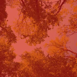 Backdrop for Rejuvenation - Cool Trumpet Jazz - Sunday Morning Jazz