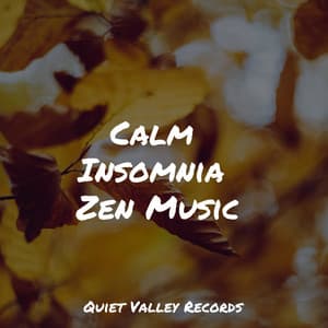 Calm Insomnia Zen Music - Calm Shores