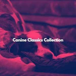 Canine Classics Collection - Jazz Rilassante Collezioni