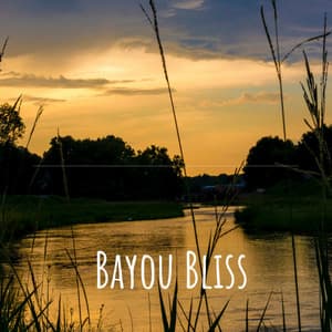 Bayou Bliss - Sleep Sound Library