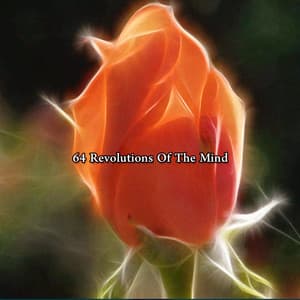 64 Revolutions Of The Mind - Musica Para Meditacion Profunda