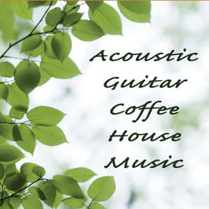 Acoustic Guitar Coffee House Music - Steve Petrunak