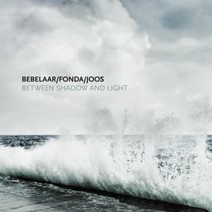Between Shadow and Light - Patrick Bebelaar