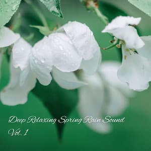 Deep Relaxing Spring Rain Sound Vol. 1 - Relaxing Music