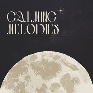 Calming Melodies: Soothing Sleep Time Sounds for Peaceful Nights - Chakra Balancing Sound Therapy