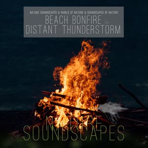 Beach Bonfire and Distant Thunderstorm - Nature Soundscapes