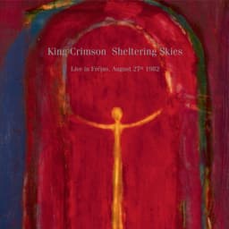 SHELTERING SKIES