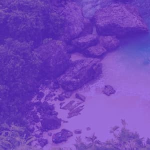 Backdrop for Storytelling - Happening No Drums Jazz - Coffee House Classics