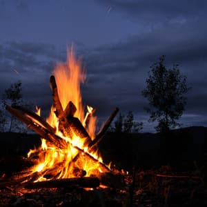 Relaxing by Campfire - Ahzura