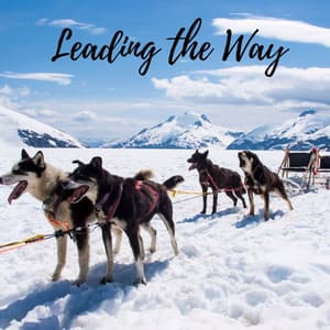 Leading the Wy - Serenity of Sound