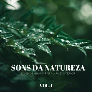 Sons Da Natureza: Sons De Chuva Para A Paz Interior Vol. 1 - Música Relax para Bares
