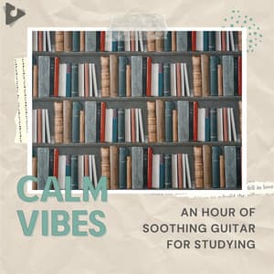 An Hour of Soothing Guitar for Studying - Calm Vibes