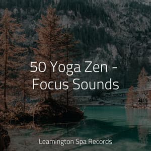 50 Yoga Zen - Focus Sounds - Ambient Rain