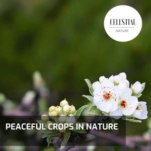 Peaceful Crops in Nature - Nature Radiance