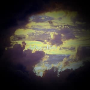 A Dog's Bliss - Lumenis