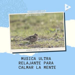 Musica Ultra Relajante para Calmar la Mente - Atmósferas de Lluvia