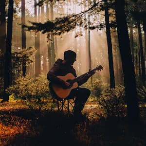 Guitarra Para Relajarse: Suaves Rasgueos Nocturnos - Guitarra Clásica Española