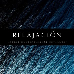Relajación: Buenos Momentos Junto Al Océano - Reiki Armonía