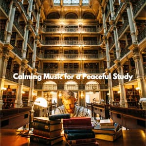 Calming Music for a Peaceful Study - Bossa Nova Jazz Cafe