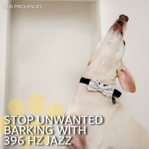 Stop Unwanted Barking with 396 Hz Jazz - Dog Frequencies