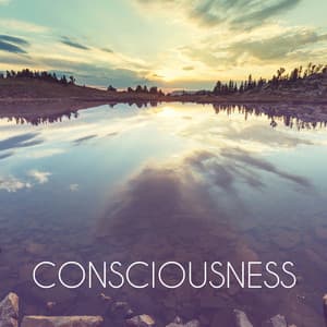 Conciousness - Smart Baby Lullaby