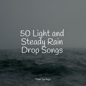 50 Light and Steady Rain Drop Songs - Academia de Música con Sonidos de la Naturaleza