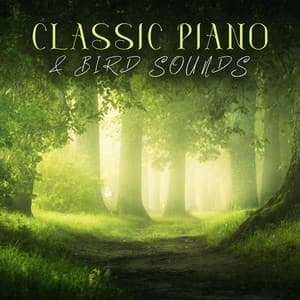 Classic Piano & Bird Sounds: Gentle Music Relaxation, Wake up in Forest - Soothing Music Academy