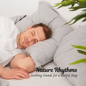 Nature Rhythms: Soothing Sounds for a Restful Sleep - Green 5