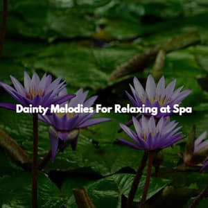 Dainty Melodies For Relaxing at Spa - Massage Tribe