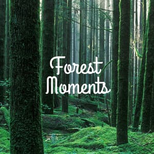 Forest Moments - Yoga Sounds
