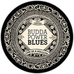 One in a Million - Budda Power Blues