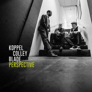 P E R S P E C T I V E - Benjamin Koppel