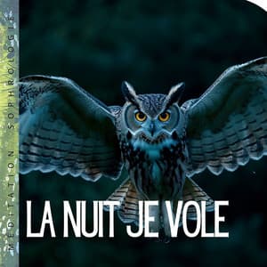 La nuit je vole - Méditation Sophrologie