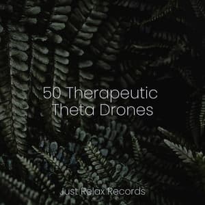 50 Therapeutic Theta Drones - Musica Reiki