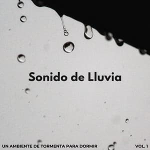Sonido De Lluvia: Un Ambiente De Tormenta Para Dormir Vol. 1 - Tormentas bálticas