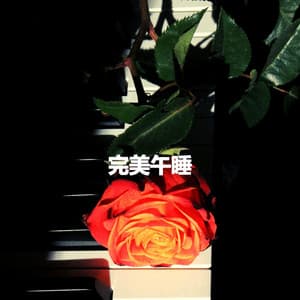 完美午睡 - Music for Retail Stores