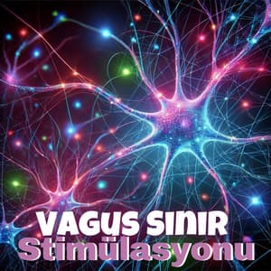 Vagus Siniri Uyarımı Uyku Müziği: Derin Uyku Dönüşümsel Terapi, Kendini İyileştirme ve Rahatlama - Gevşeme Meditasyon Akademisi