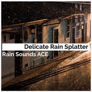 Delicate Rain Splatter - Rain Sounds ACE