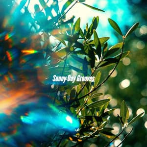 Sunny Day Grooves - Easy Listening Sunday Morning Music