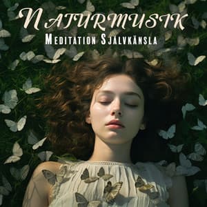 Naturmusik: Meditation Självkänsla - Zen atmosfär av lugnt vatten